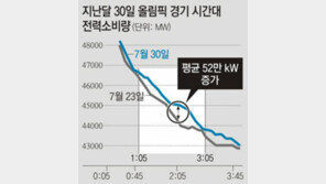 올빼미 응원 때문에… 심야 전력수요 껑충