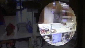 [뉴스A]한국계 미국인, 서울 강남서 대낮 은행강도