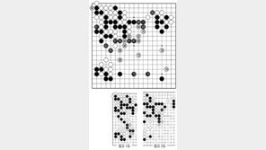 [바둑]제56기 국수전… 실착 89