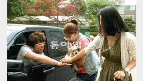 [TV 하이라이트]버림받은 ‘땡글이’ 길들이기