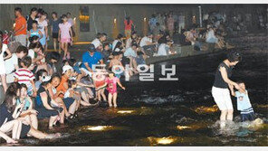 ‘적도’보다 뜨거운 한반도… 서울 4일 36도