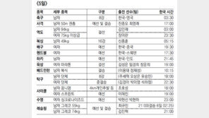 [런던 2012/8월 5일]내일의 한국 경기