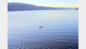 네스호 괴물 사진, ‘가장 선명한 네시’ 누리꾼 깜짝