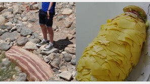 거대 삼겹살-거대 햄버거, 어마어마한 크기에 ‘화들짝’