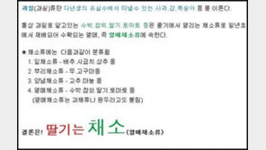 딸기의 진실 ‘충격!’… “이거 모르는 사람도 있었어?”