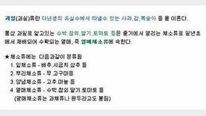 딸기의 진실… “다들 이제 안거야?”