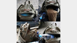 신기한 개구리 가방… ‘일상 속 상상력의 재발견’