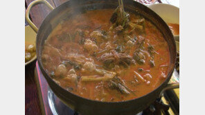 [ON AIR] 개고기 성분 분석…정말 몸에 좋나?