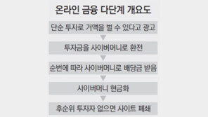 “月150% 배당”에 솔깃… “대박” 후기에 속아… 쪽박찬 ‘인터넷 부업’