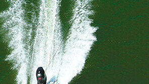 녹색으로 변한 한강