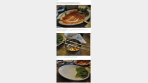 신개념 맛집 블로거…“이런 맛집 탐방기는 처음이야~”