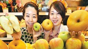 연일 폭염에 일조량 급증… “사과-배 벌써 나왔어요”