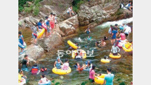 [오늘의 채널A]알뜰 피서지 강릉 소금강 계곡의 여름