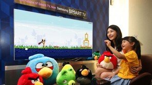 스마트TV로 ‘앵그리버드’ 즐긴다