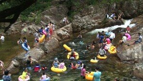 [ON AIR] 소금강 계곡의 여름 풍경…더위 싹∼