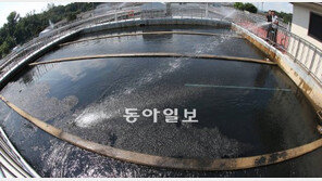한강 녹조에 서울 수돗물 비상