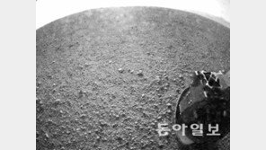 [큐리오시티, 화성 터치다운]헬로! 붉은 행성 네 속살이 궁금해