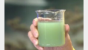 [뉴스A]식수원 녹조 비상…수돗물 마셔도 안전한가