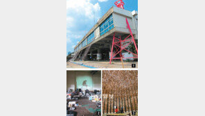 비릿한 삶의 현장, 항구는 미학이다… 일본 니가타 시 ‘물과 흙의 예술제 2012’