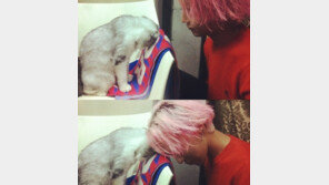 지드래곤 분홍머리 변신… “역시 앞서가는 패셔니스타”