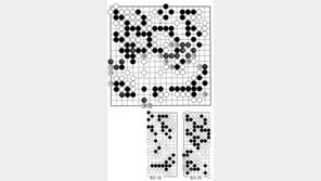 [바둑]제56기 국수전… 끝내기 맥점 172 