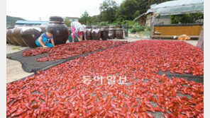 여전히 뜨거운 ‘가을의 문턱’