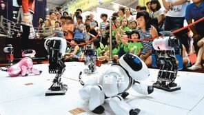 [광주/전남]로봇강아지가 춤을 추네