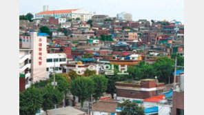 [인천/경기]송도-영종-청라 ‘활짝’, 동구-남구-부평 ‘한숨’