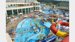 우먼 동아일보와 ‘테딘패밀리 워터파크’가 함께하는 Summer Event