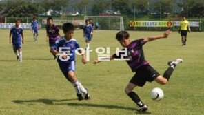 [대구/경북]‘미래의 박지성’ 경주 총출동… 화랑대기 유소년축구대회