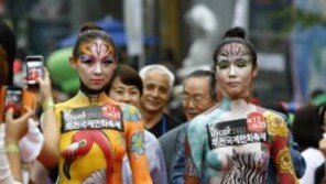 [인천/경기]꿈나무와 함께… 만화세상이 열린다