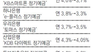 4%대 이자 정기예금 실종