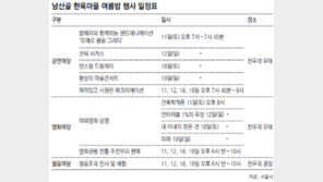 [수도권]살짝 식은 밤공기… 남산골 축제로 오세요