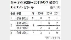 내년부터 금지구역서 물놀이땐 과태료… 무조건 ‘풍덩’하면 돈나간다