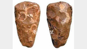 “8000년전 지중해는 푹푹 찌는 열대였다”