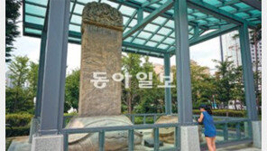 치욕의 상징 삼전도碑 가라사대 “날 지키는 호위무사가 지금 둘이오”