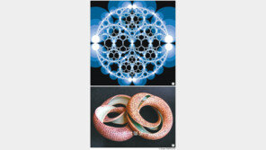 예술로 변한 수학, 이렇게 아름다울수가…