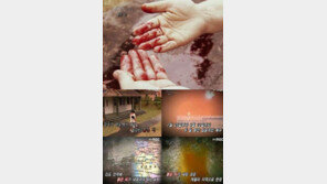  ‘인도 붉은 비’, 특정 장소에서 여러 번 같은 현상 반복 “헉!”