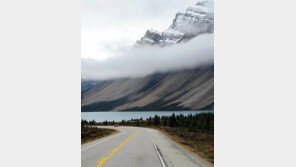 두 장 같은 사진 한 장, ‘얼핏보면 이해불가?’ 착시효과