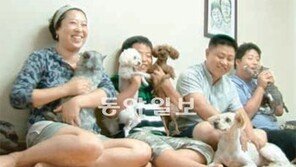 [TV 하이라이트]애완동물을 위한 캠핑