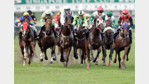 과천 경마올림픽…金딸 기수는?