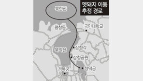 북한산 어린멧돼지들 먹이찾아 ‘금지된 나들이’