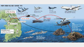 [李대통령 독도 방문]“日자위대 접근할수도”… 코드명 ‘해맞이’ 육해공 입체경호