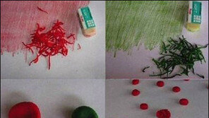 지우개 가루 예술가 “심심풀이로 만든 장미꽃 놀라워”