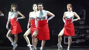 싸이 공연, 무대화재로 일시중단 ‘해프닝’