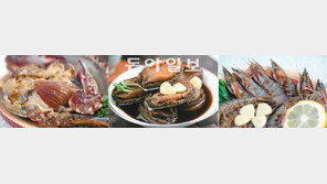 엄마의 마음 담았더니… 5년만에 年 70억 팔다