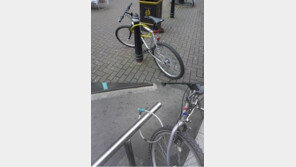 멍청한 자전거 주인, “아냐 분명 뭔가가 있을꺼야”