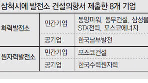 8개사 “삼척에 발전소 짓겠다”… 주민들은 ‘기대반 우려반’