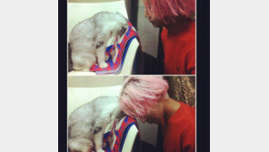 지드래곤 화폐꽃 논란? “대체 논란은 누가 만들어?”