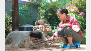 [TV 하이라이트]아리랑에 담긴 한민족의 애환
